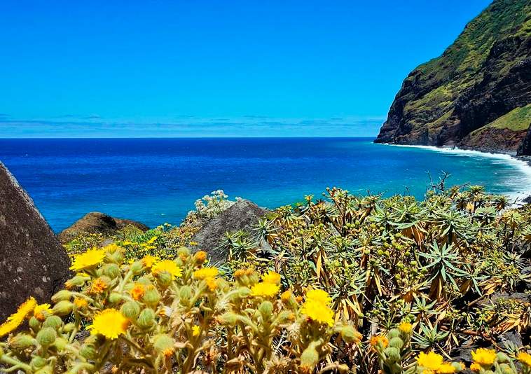 Ilha-da-Madeira