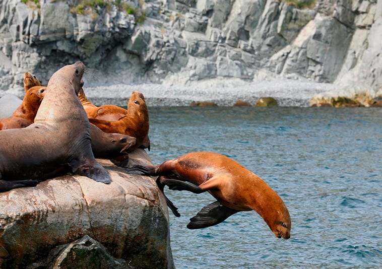 Kamchatka