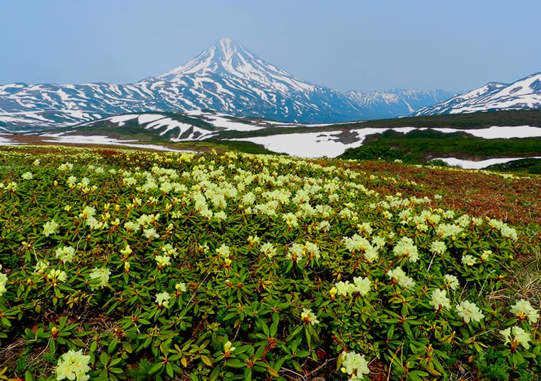 Kamchatka