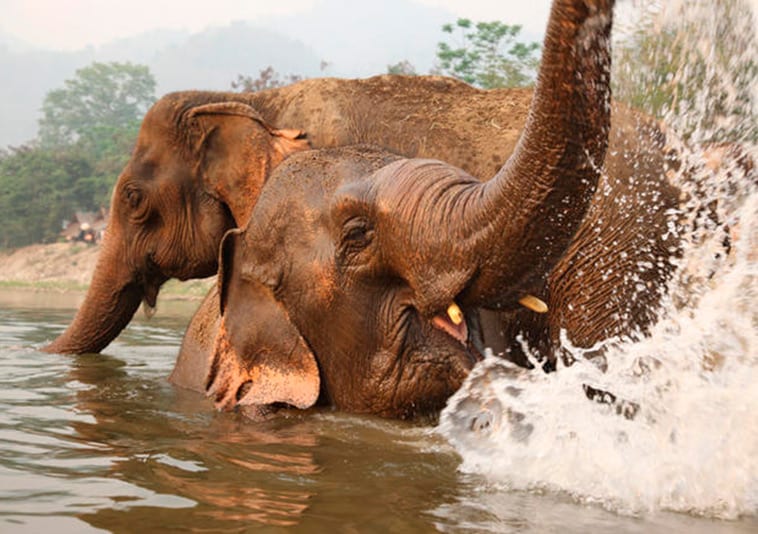 Koh Mak7 experiências incríveis fora da rota turística da Tailândia