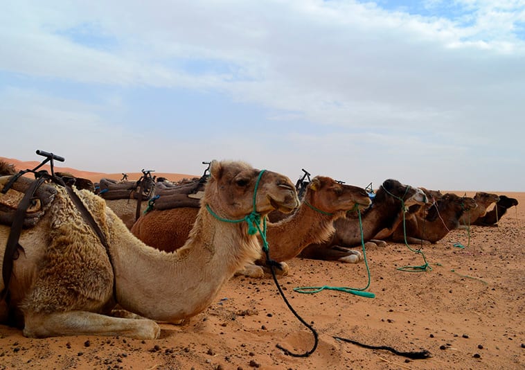 9 experiências imperdíveis para quem vai viajar para o Marrocos