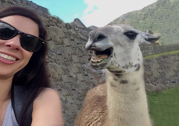 Minha viagem de trem Ollantaytambo a Aguas Calientes